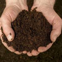 Distribution gratuite de compost mûr et normé avec un kit de tri - Beaujeu (69) | Belleville-en-Beaujolais (69) à 0 €