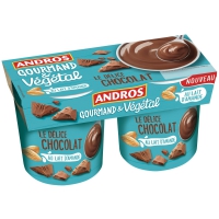 Dessert végétal au lait d'amande chocolat Andros pas cher 