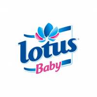 Echantillon Lotus baby