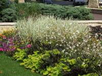 Don de fleurs d'été - Verneuil-sur-Seine (78) à 0 €