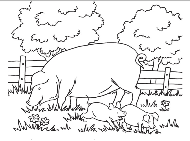 Coloriage gratuit sur le thème de la ferme - Courses à petits prix