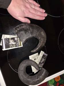 Corne de buffle moyenne pour chiens Wilderness - Villabe (91) à 3.49 €