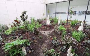 Distribution gratuite de plantes vivaces - Le Plessis-Robinson (92) à 0 €