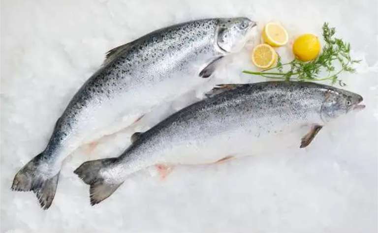 Saumon Atlantique entier ASC - 1 à 4kg - Le kg (via 1,20€ sur carte fidélité) à 6.79 €