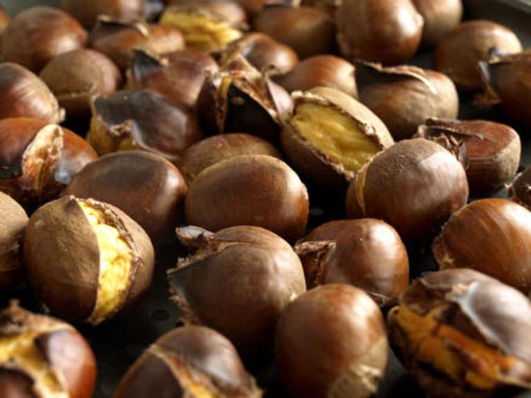 Dégustation gratuite de châtaignes grillées et vin primeur - Coursan (11) à 0 €