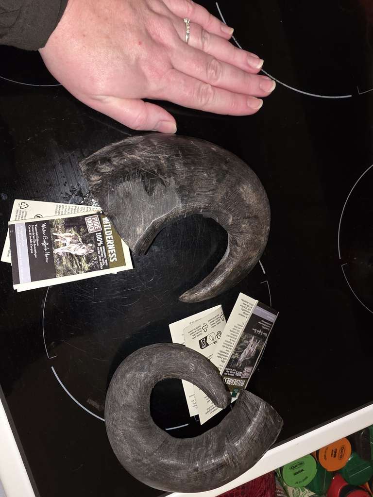 Corne de buffle moyenne pour chiens Wilderness - Villabe (91) à 3.49 €