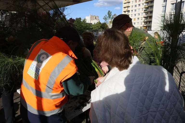 Distribution de fleurs et plantes - Vanves (92) à 0 €