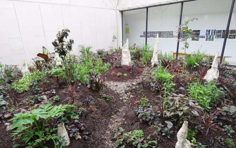 Distribution gratuite de plantes vivaces - Le Plessis-Robinson (92) à 0 €