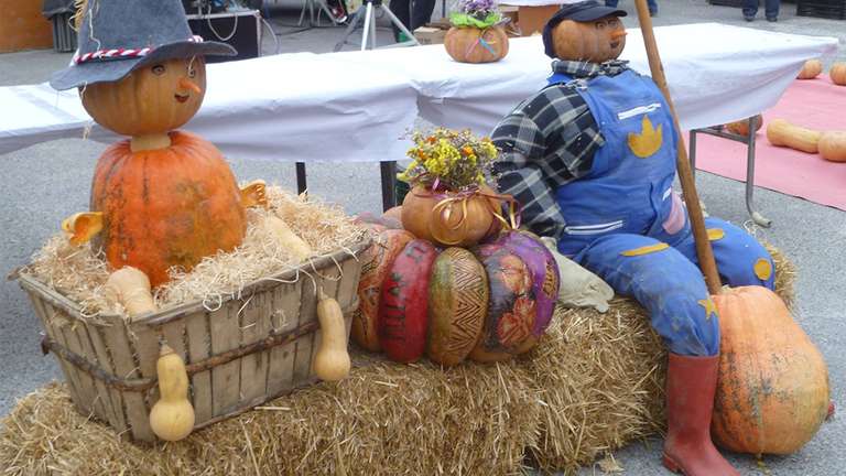 Dégustation gratuite de plats salés et sucrés à base de courge - L'Isle-sur-la-Sorgue (84) à 0 €