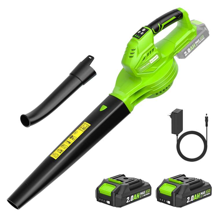 Souffleur de Feuilles sans Fil Parkside - 2 Batteries 2,0 Ah et Chargeur3 Vitesse Max 360m³/h vert ou jaune (via coupon, Vendeur Tiers) à 59.82 €